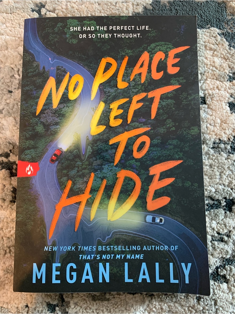 No Place Left To Hide by Megan Lally